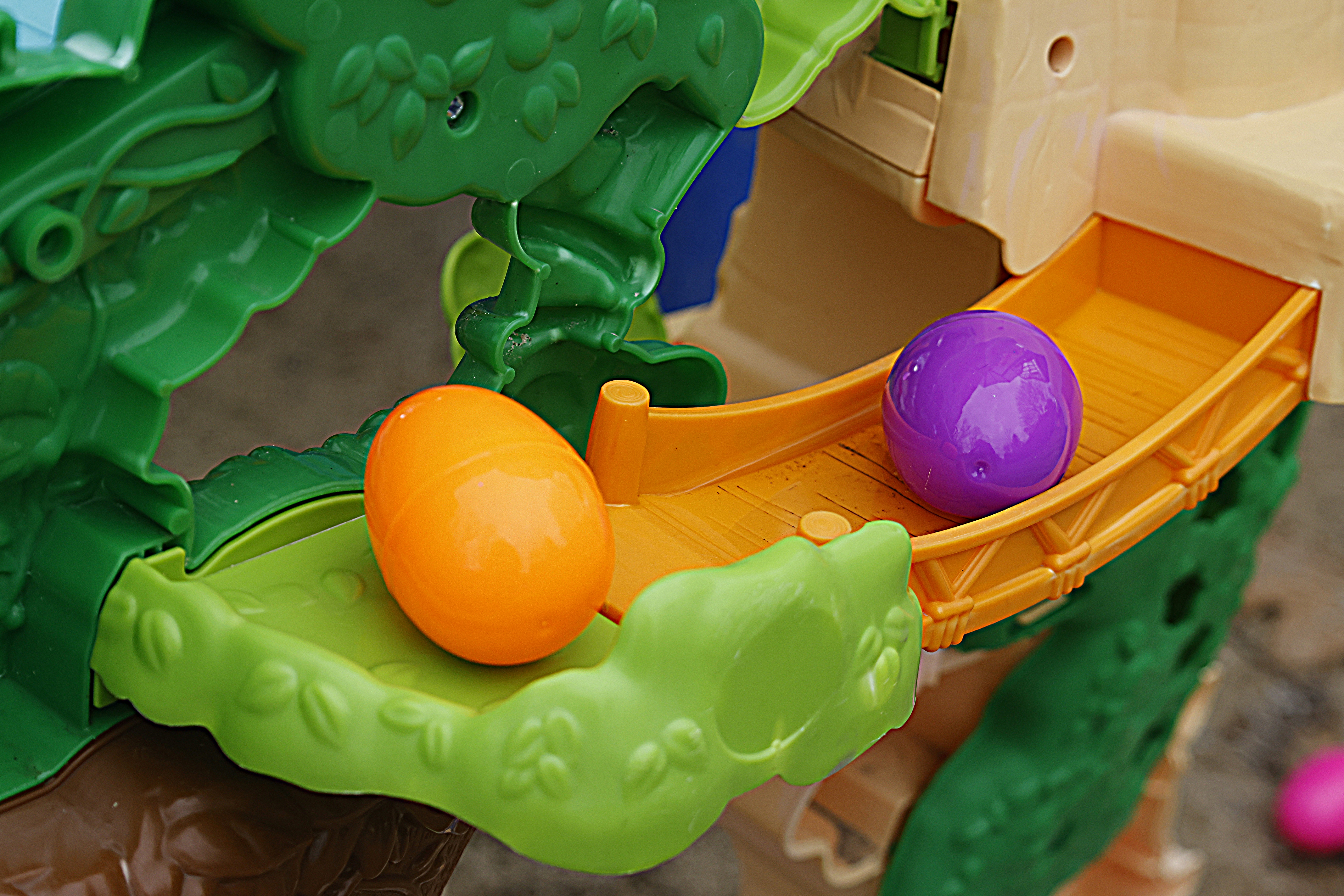 Eggs shoot