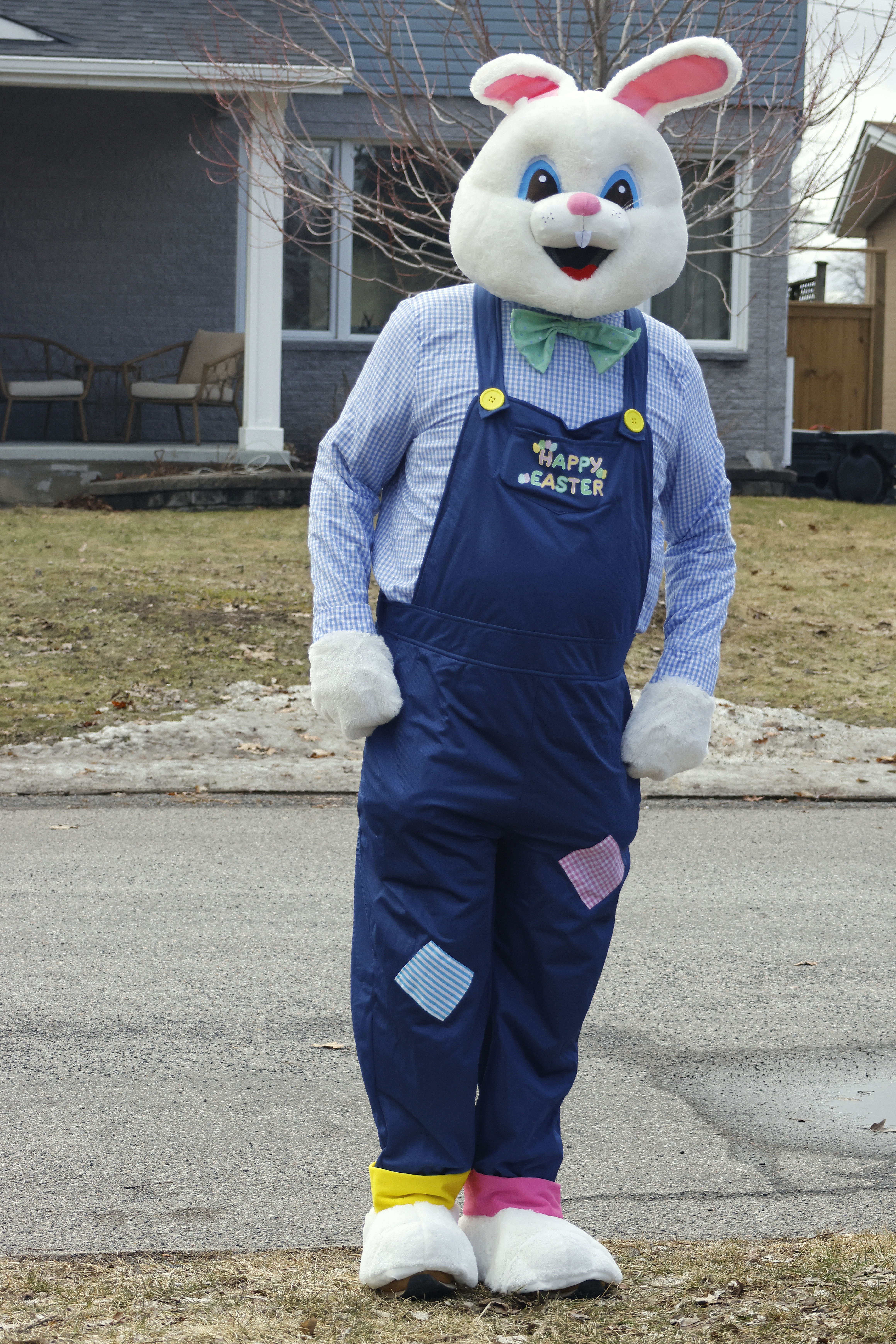 The bunny is here!